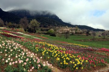 Vista de Capolat.